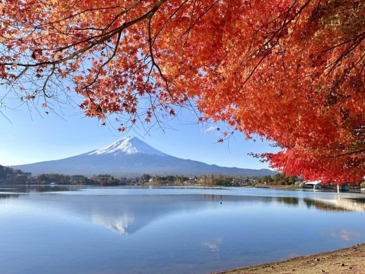 fall magc ing   秋の雪景色 Autumn Foliage at Lake Kawaguchi | A Complete Guide to